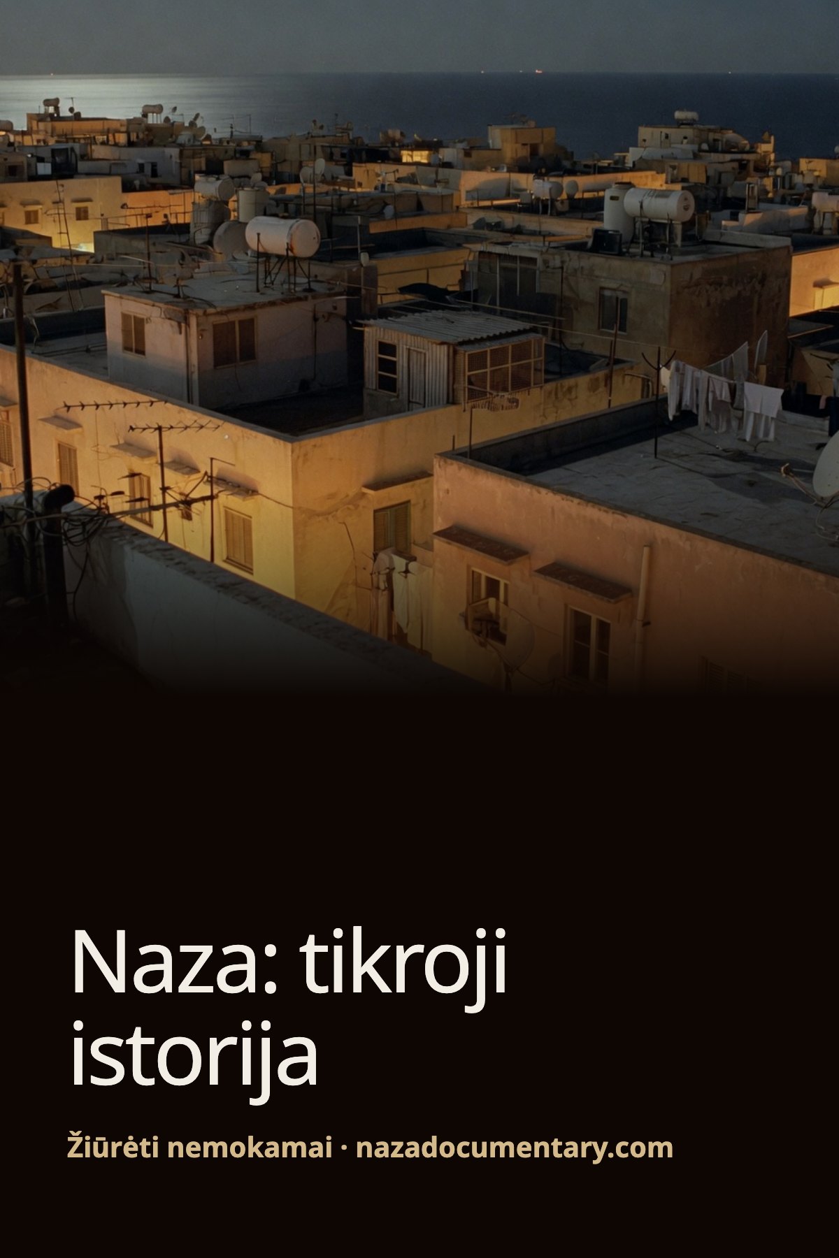 Plakatas: Naza: tikroji istorija